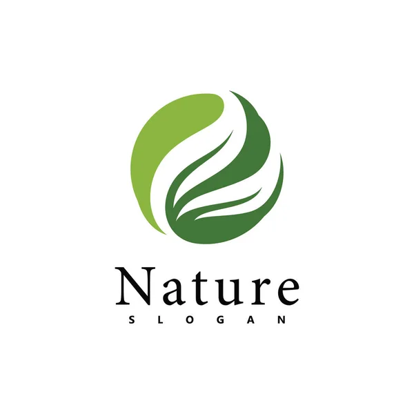 Nature Logo Vektor Design Vorlage Blatt Ikone — Stockvektor