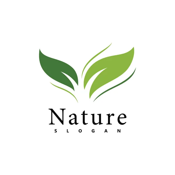 Modelo Design Vetor Logotipo Natureza Ícone Folha — Vetor de Stock