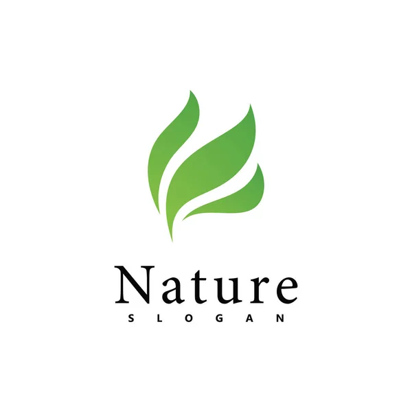 Πρότυπο Σχεδιασμού Διανυσματικού Λογότυπου Φύσης Εικονίδιο Φύλλου — Διανυσματικό Αρχείο