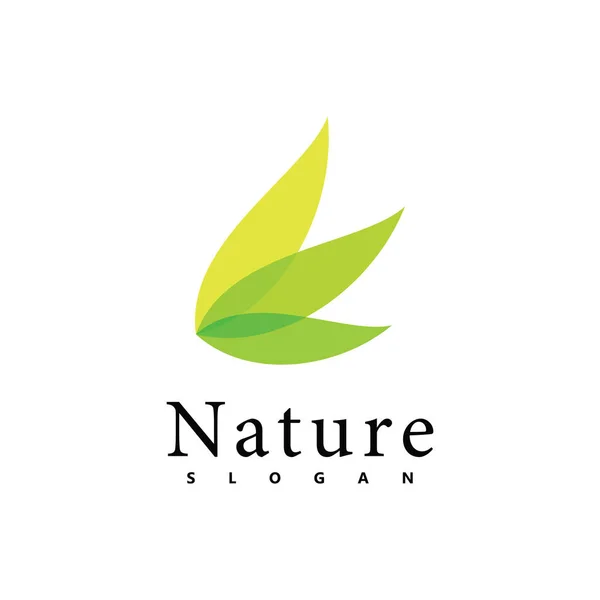 Modello Progettazione Vettoriale Logo Natura Icona Delle Foglie — Vettoriale Stock