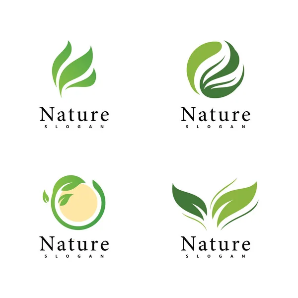 Nature Logo Vector Design Template Leaf Icon — Stock Vector