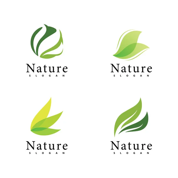 Nature Logo Vektor Design Vorlage Blatt Ikone — Stockvektor