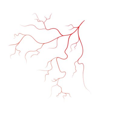 İnsan damarı vektör simgesi tasarımı illüstrasyonu 