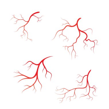 İnsan damarı vektör simgesi tasarımı illüstrasyonu 
