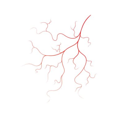 İnsan damarı vektör simgesi tasarımı illüstrasyonu 