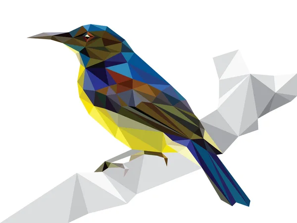 Un pequeño pájaro azul negro poligonal con vientre amarillo sosteniendo en rama de madera gris (pájaro solar de vientre amarillo) vector de ilustración de estilo de cristal . — Vector de stock