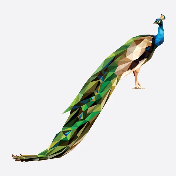 Un polígono bajo de pavo real de pie con coloridas alas marrones y cola verde . — Vector de stock