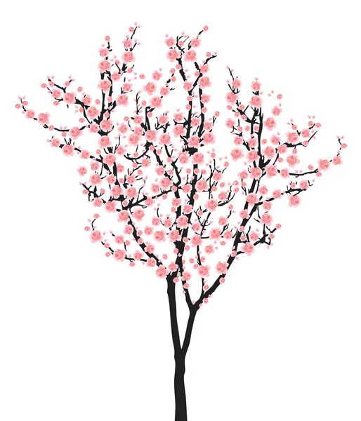 Full bloom pink sakura tree (Cherry blossom) on black wood — Stock Vector