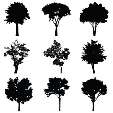 Dokuz ağaçlar vektör siluet, orman gölge sahne manzara kümesi