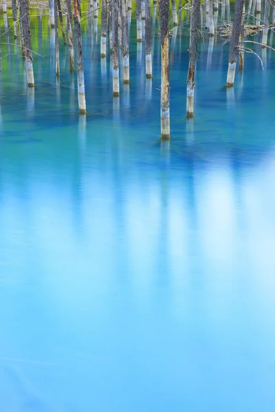 Blue pond in hokkaido — Stock Photo, Image