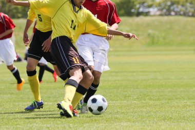 Japonya futbol oyuncusu