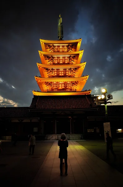 Krajobraz z pięć opowieści pagoda — Zdjęcie stockowe