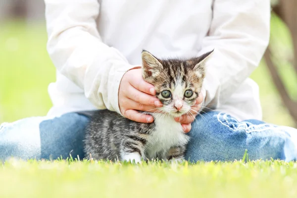 Chaton jouant au printemps — Photo