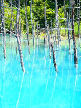 Hokkaido'da mavi su birikintisi