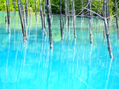 Hokkaido'da mavi su birikintisi