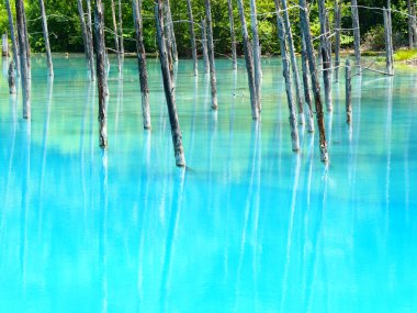 Hokkaido'da mavi su birikintisi