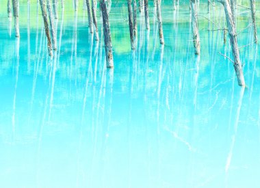 Hokkaido'da mavi su birikintisi