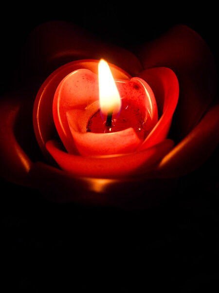 rose candle in black  background