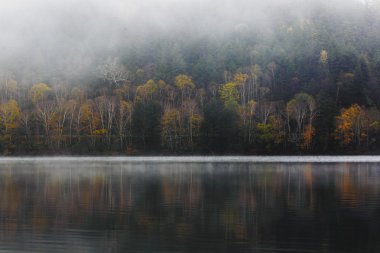 Japonya'da sonbahar manzara