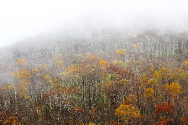 Herfst landschap in japan — Stockfoto