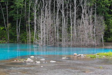 Hokkaido'da mavi su birikintisi