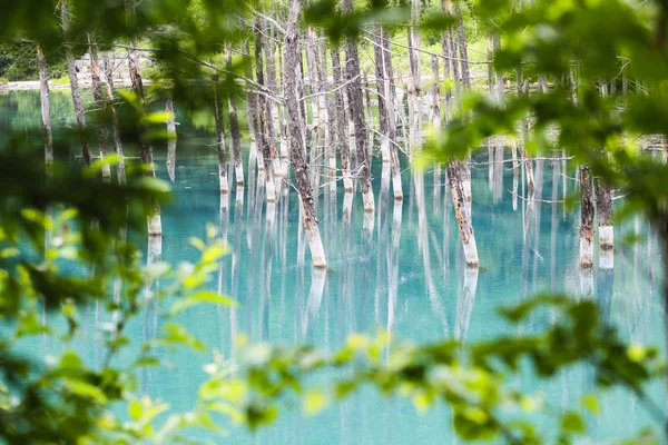 Lagoa azul em hokkaido — Fotografia de Stock