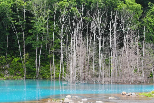北海道の青池 — ストック写真