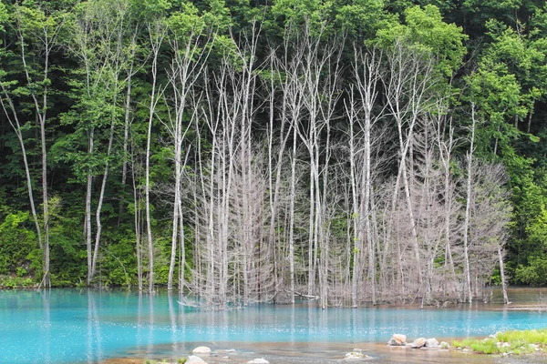 Lagoa azul em hokkaido — Fotografia de Stock