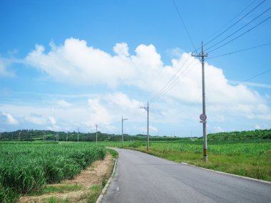 kohama Island, Japonya