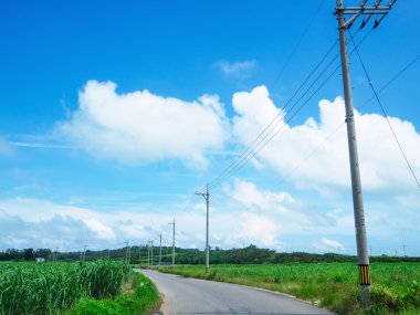 kohama Island, Japonya