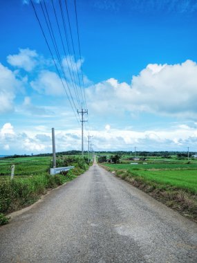 kohama Island, Japonya