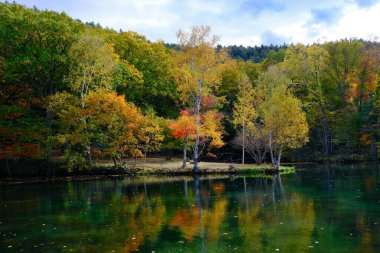 Hokkadio 'da Torinuma Parkı