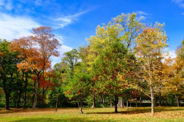 Hokkadio 'da Torinuma Parkı