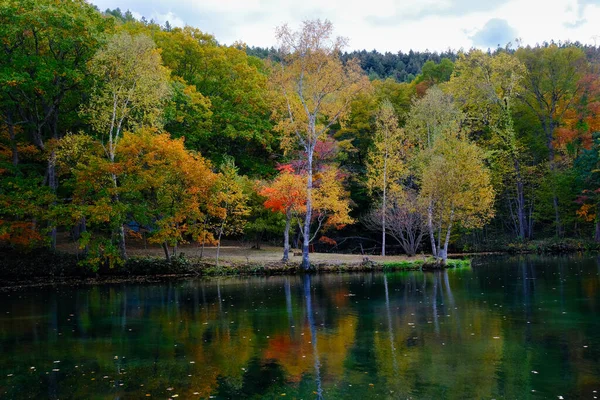 Parco Torinuma Autunno Hokkadio — Foto Stock