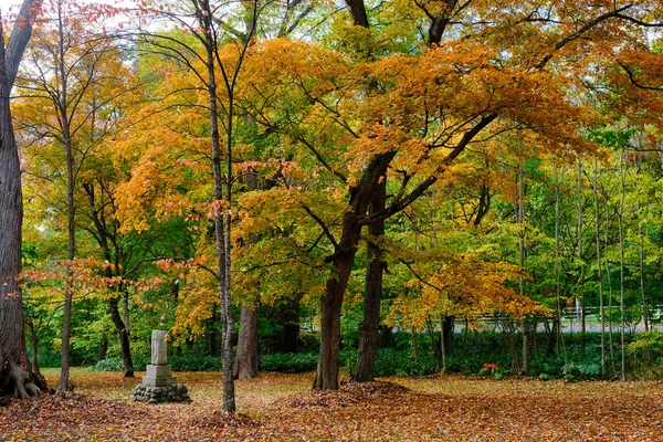 Torinuma Park Herbst Hokkadio — Stockfoto