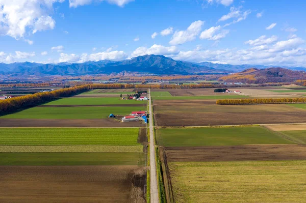 Autumn Tokachi Bird View — Stock Photo, Image