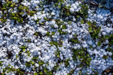 Donmuş çimenler ve kışın toprak