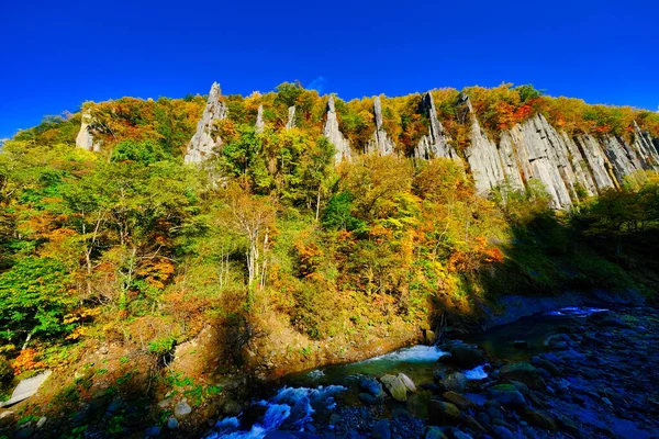 Herfst Bladeren Steile Kliffen — Stockfoto