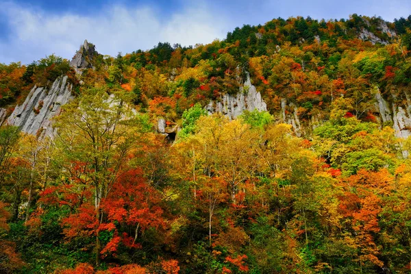 Herfst Bladeren Steile Kliffen — Stockfoto