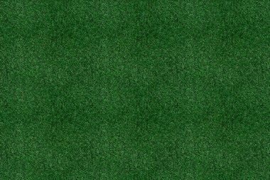 arkaplan kağıdı için yeşil çimen