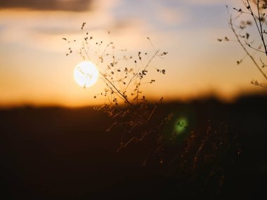 # Kışın güneşin doğuşunu #