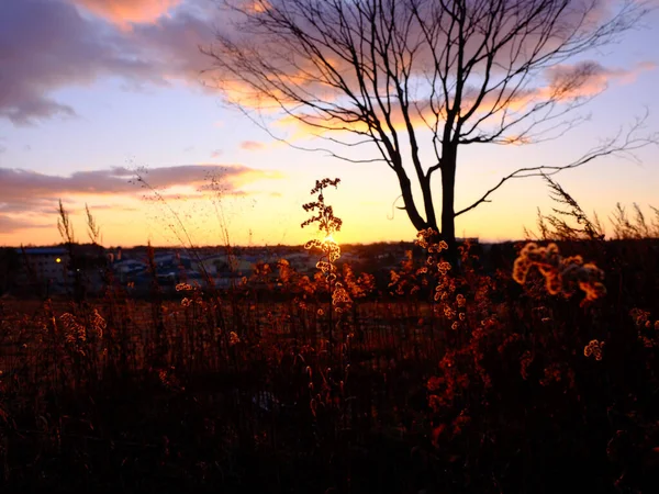 Alba Impianto Inverno — Foto Stock