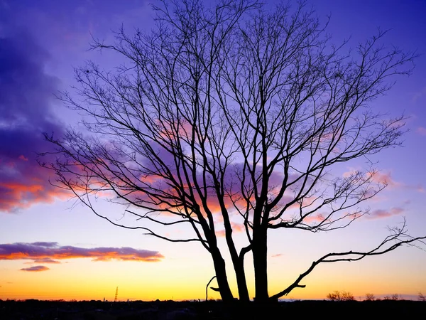 Alba Impianto Inverno — Foto Stock