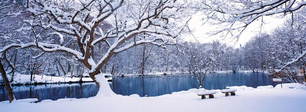 Parco Torinuma Inverno Hokkaido — Foto Stock