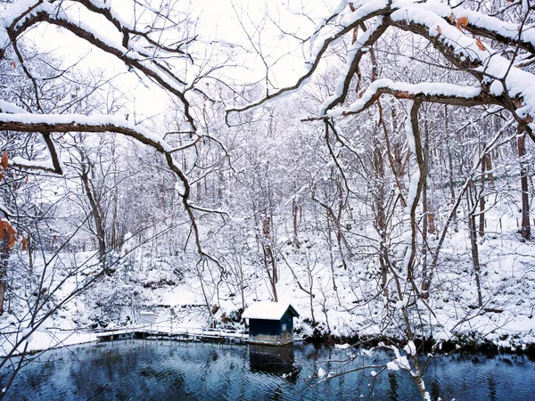 Parco Torinuma Inverno Hokkaido — Foto Stock