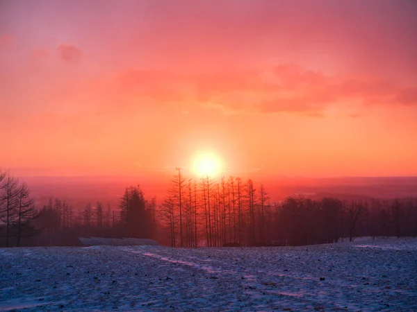 Nascer Sol Inverno Hokkaido Japão — Fotografia de Stock