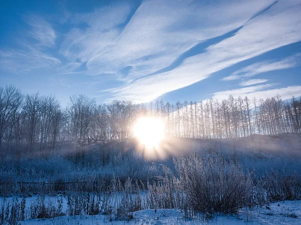 Холодний Туман Вранці Взимку — стокове фото