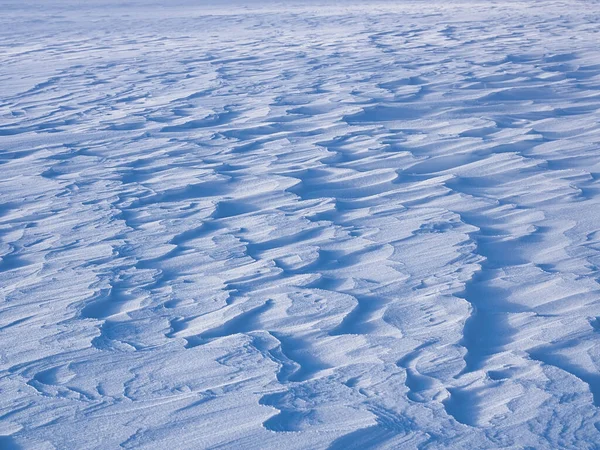Snow Field Winter Hokkaido — Stock Photo, Image