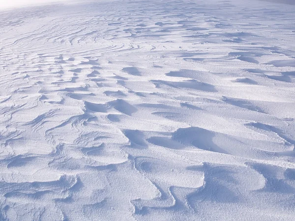 Pole Śniegu Zimie Hokkaido — Zdjęcie stockowe