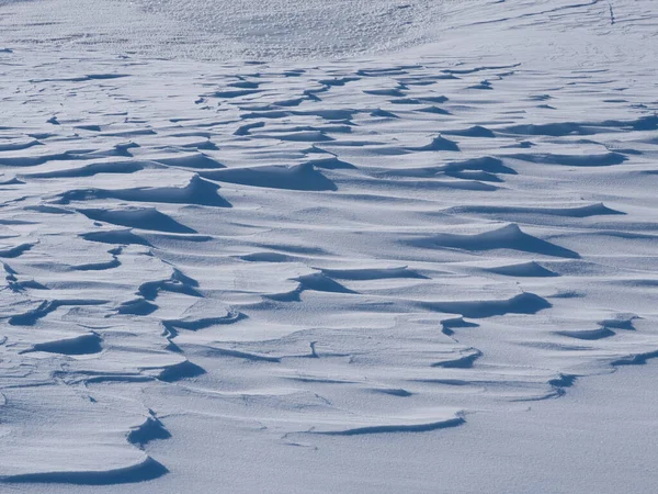 Pole Śniegu Zimie Hokkaido — Zdjęcie stockowe